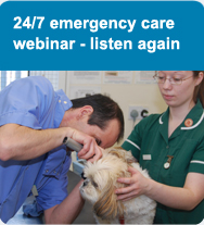 24/7 emergency care webinar