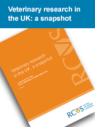 Veterinary research in the UK: a snapshot
